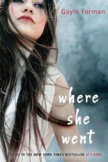 Where She Went Where She Went