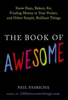The Book of Awesome The Book of Awesome