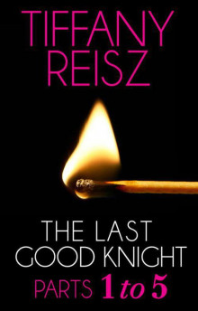      The Last Good Knight