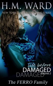      Damaged 2
