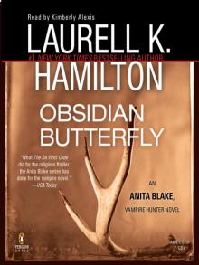     Obsidian Butterfly