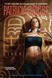      River Marked