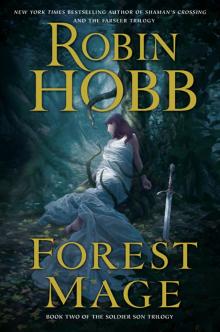      Forest Mage
