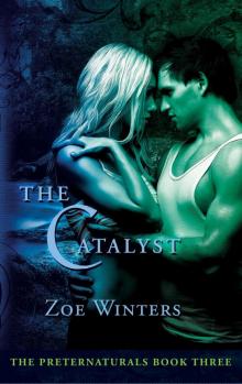      The Catalyst