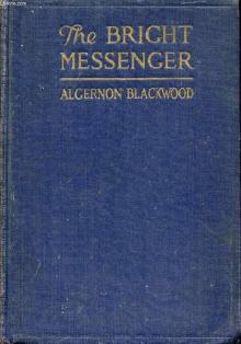      The Bright Messenger