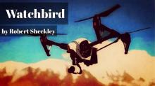      Watchbird