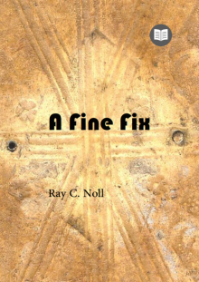      A Fine Fix