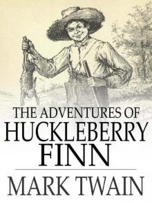      Adventures of Huckleberry Finn