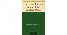      The Silver Canyon: A Tale of the Western Plains