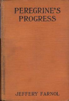      Peregrine's Progress