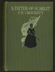      A Tatter of Scarlet: Adventurous Episodes of the Commune in the Midi 1871