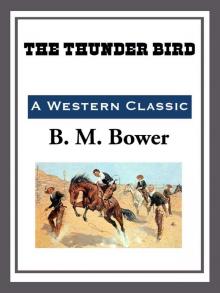      The Thunder Bird
