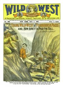      Young Wild West at Forbidden Pass