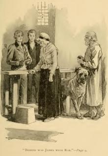      The Bunsby Papers (second series): Irish Echoes
