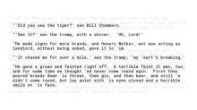      A Tiger's Skin