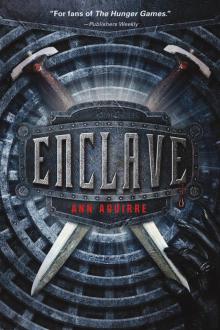      Enclave