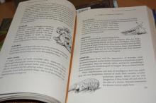       The Shadowhunters Codex