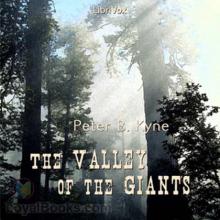      The Valley of the Giants