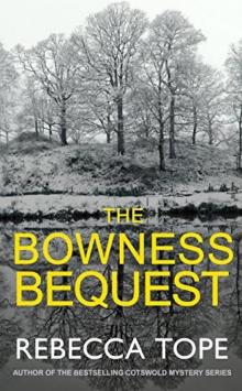      The Bequest