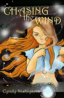      Chasing the Wind