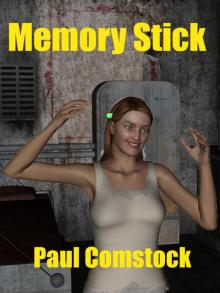      Memory Stick