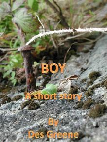      Boy