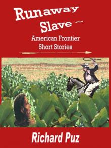      Runaway Slave