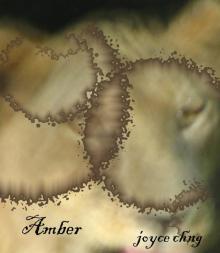      Amber