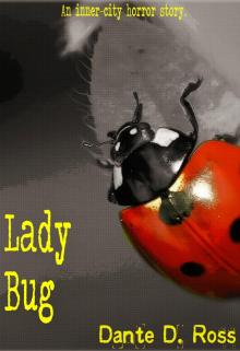      Lady Bug
