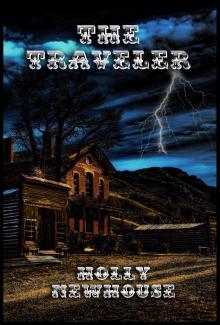      The Traveler (The Traveler Series, #1)