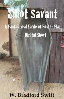      Elliot Savant: A Free Fantastical Fable of Foster Flat Digital Short