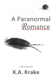      A Paranormal Romance