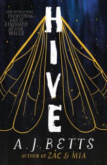      Hive