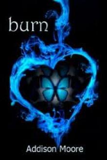      Burn
