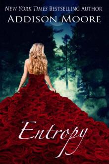      Entropy
