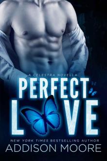      Perfect Love