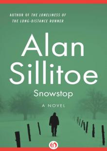      Snowstop