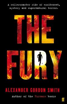      The Fury