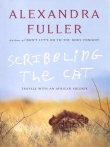      Scribbling the Cat