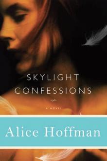      Skylight Confessions