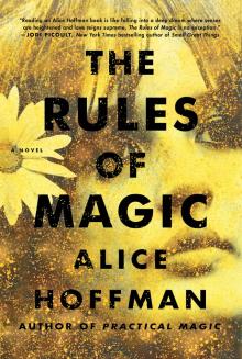      The Rules of Magic