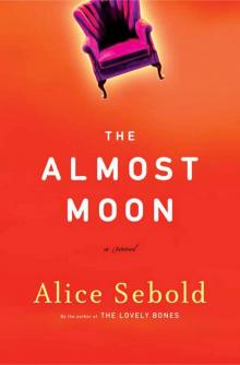      The Almost Moon