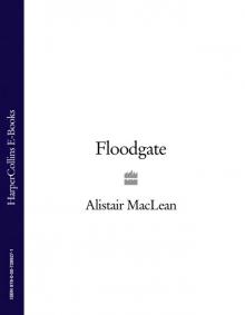      Floodgate