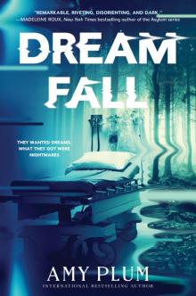      Dreamfall