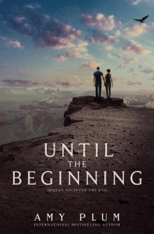      Until the Beginning