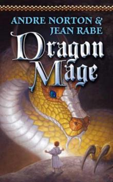      Dragon Mage