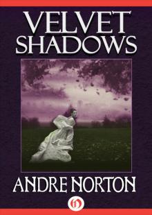      Velvet Shadows