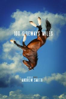      100 Sideways Miles