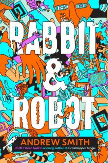      Rabbit Robot