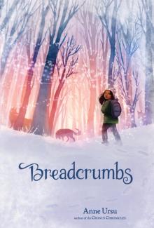      Breadcrumbs